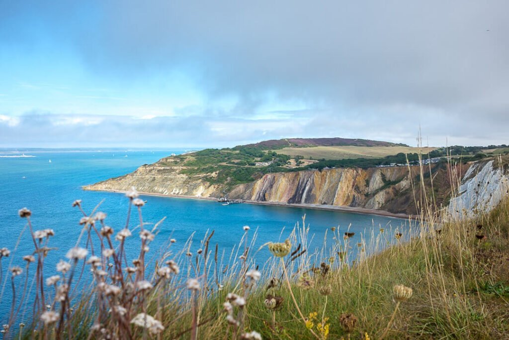 views over alum bay