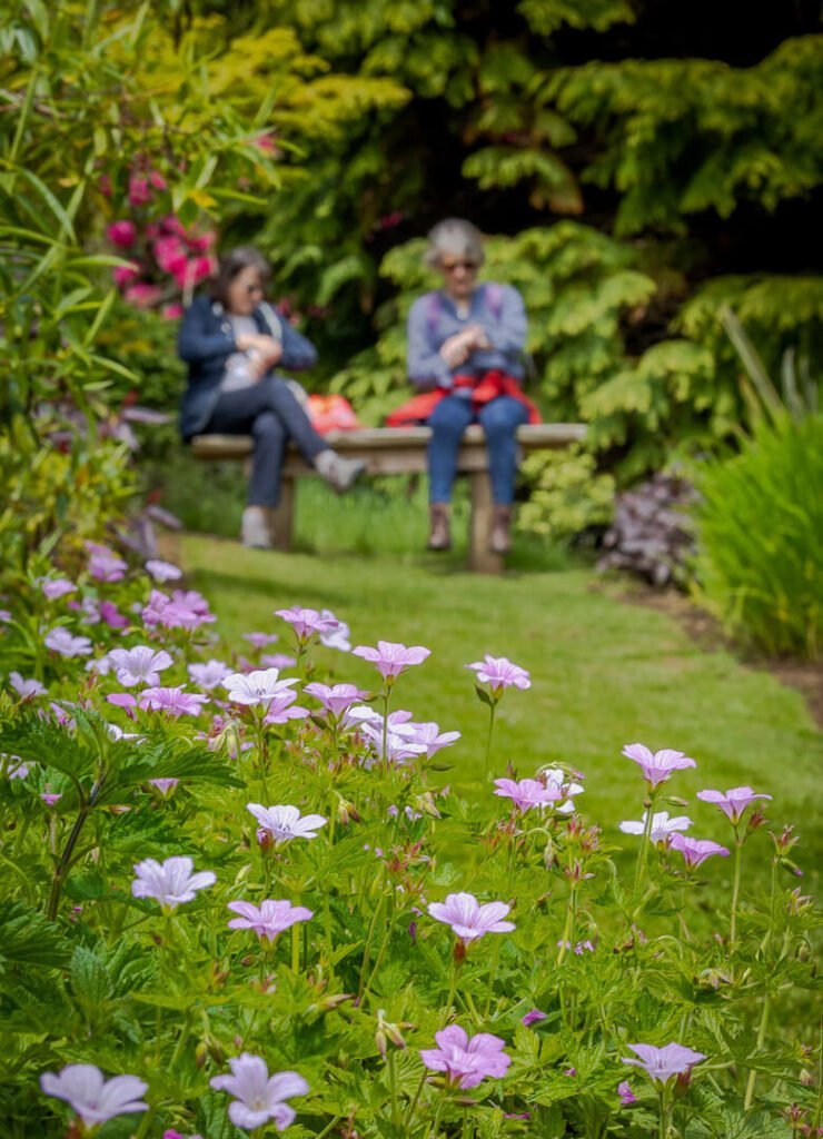 isle of wight gardens-9471