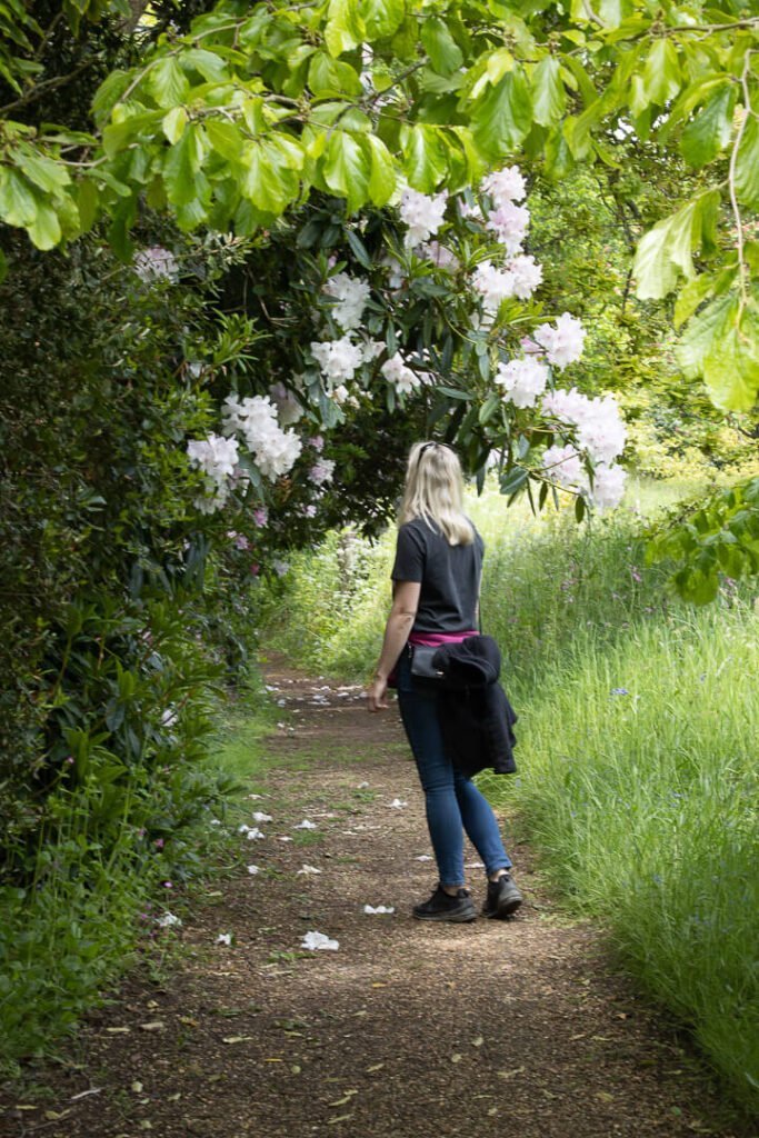 mottistone gardens