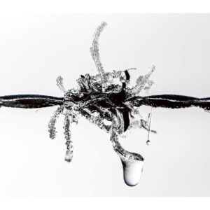 Frozen In Time | Fine Art Framed Print